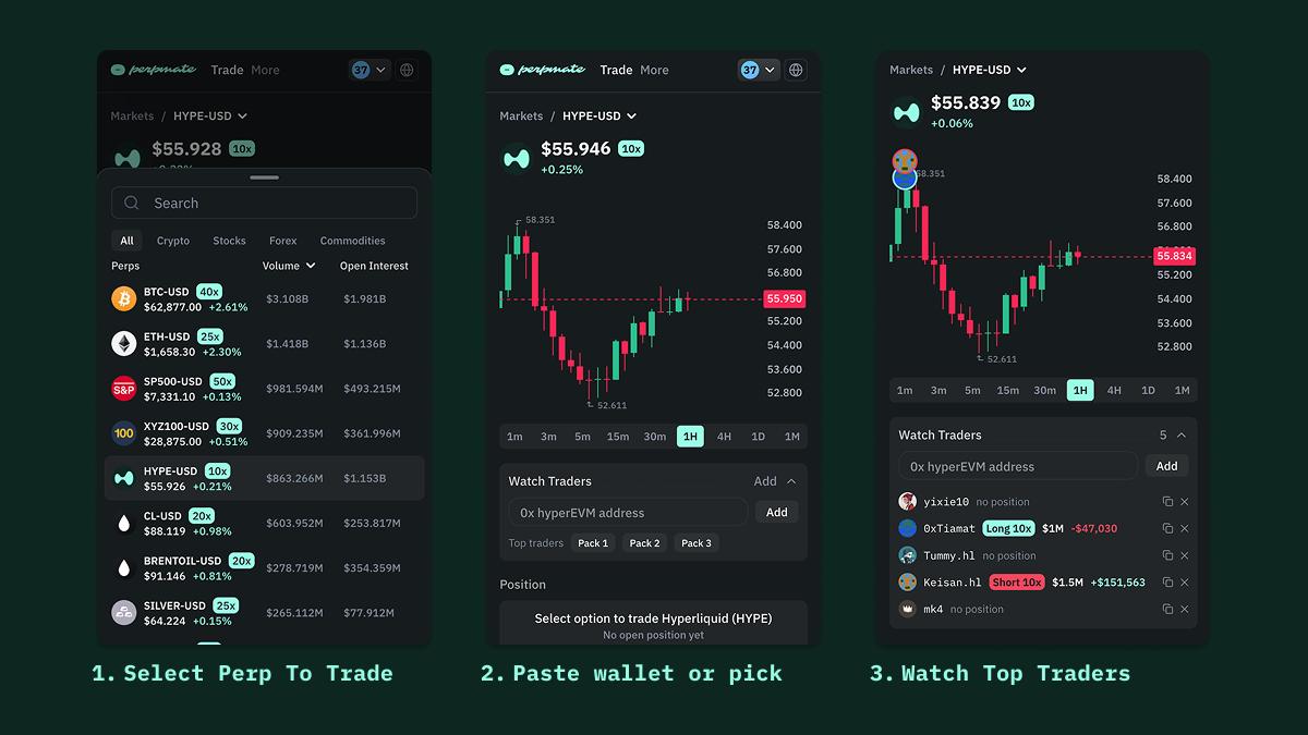 How to find top perp traders in 3 steps: tap Watch Traders on a coin, pick a batch or paste an address, see their positions on the chart