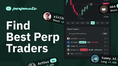 How to Find Top Perp Traders to Watch on Hyperliquid