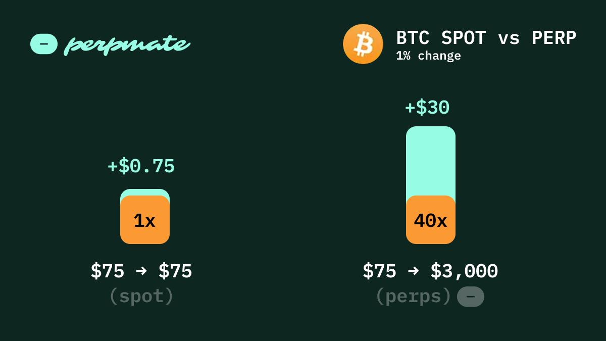 Side-by-side comparison of spot trading returns versus leveraged perp profits