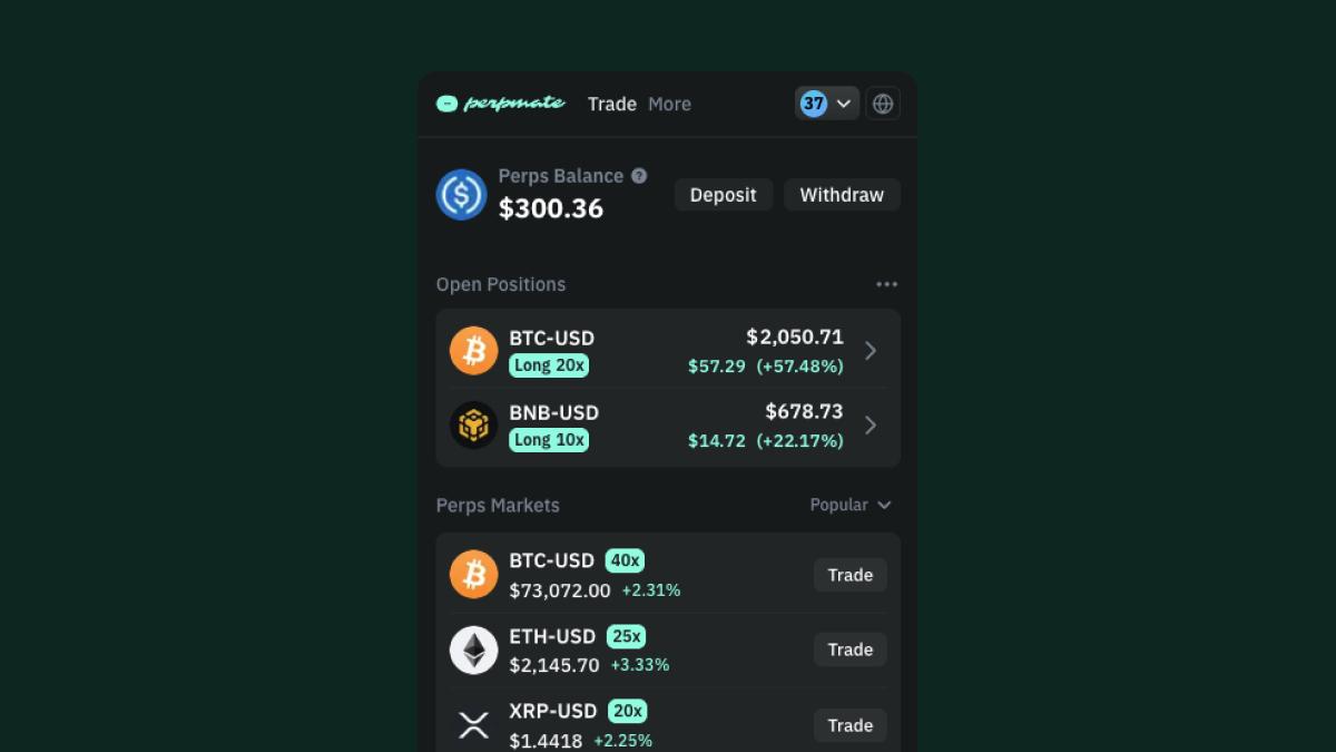 Multiple open perpetual futures positions with portfolio balance and market list