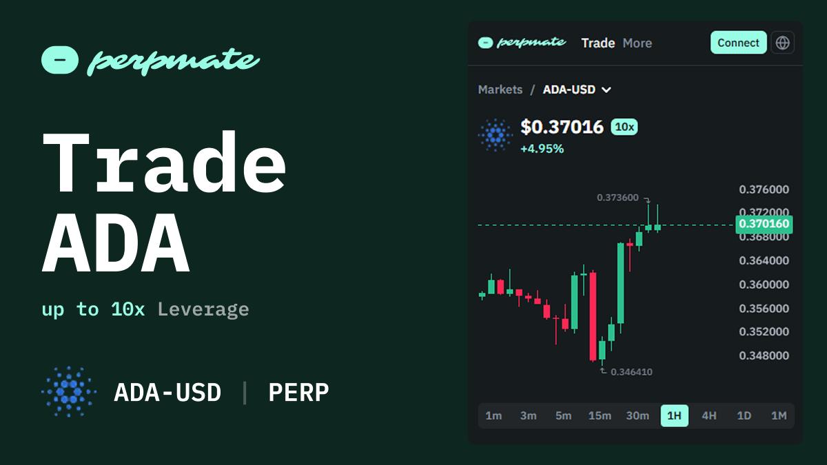 Cardano (ADA) perpetual futures leveraged position
