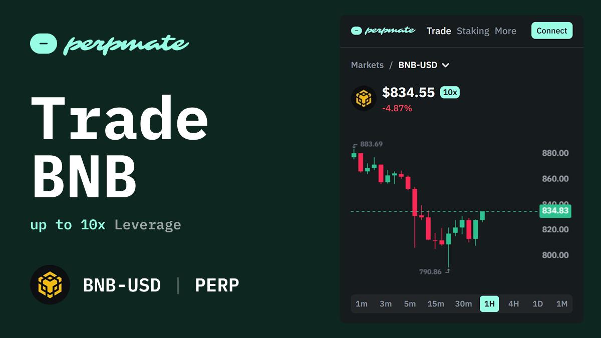 BNB perpetual futures trading interface