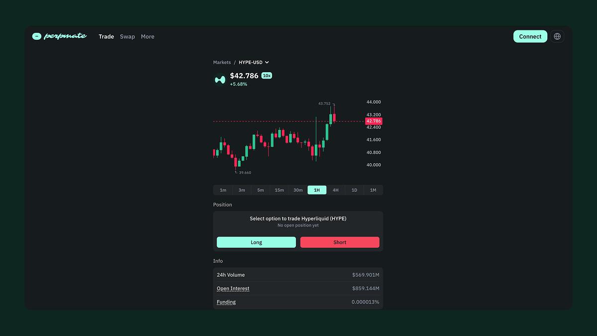 Trade HYPE perpetuals with leverage