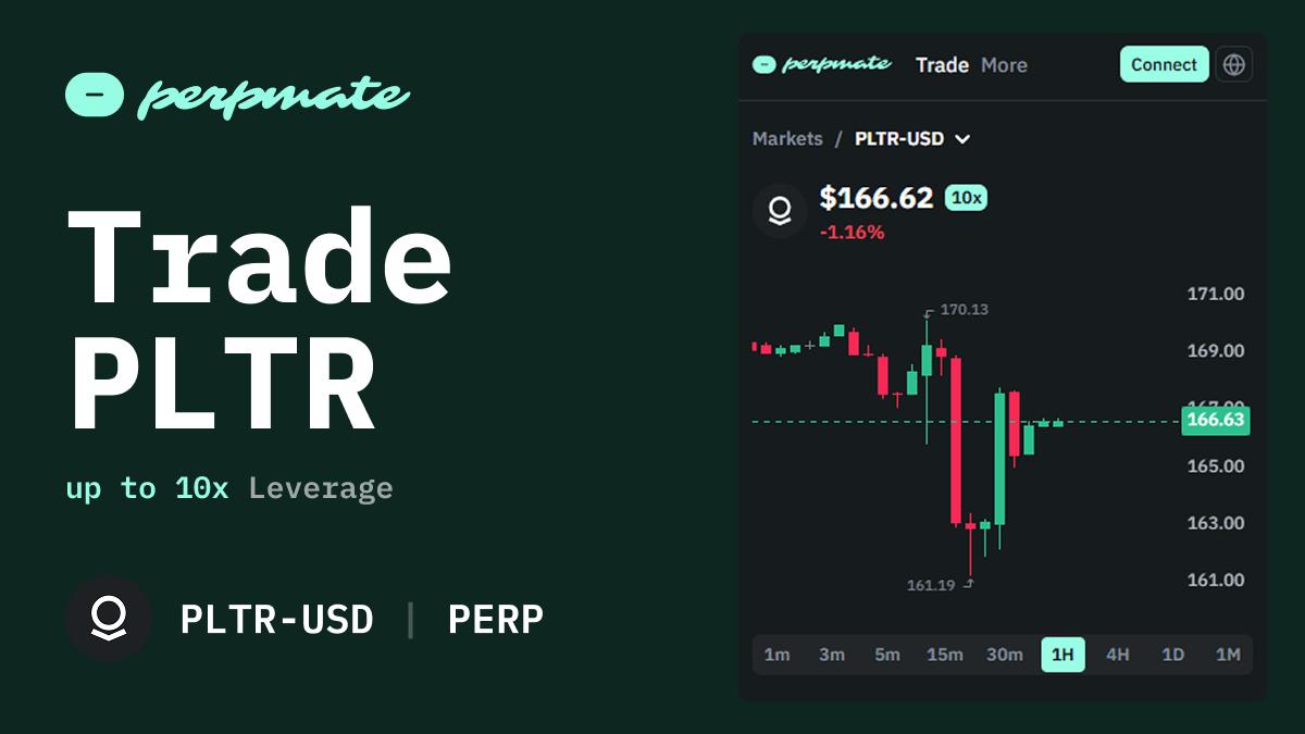 Palantir Technologies (PLTR) perpetual futures leveraged position