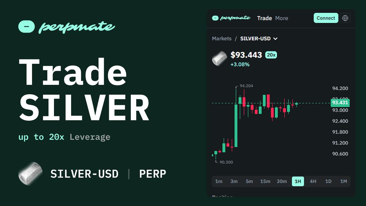 Silver (XAG) perpetual futures leveraged position