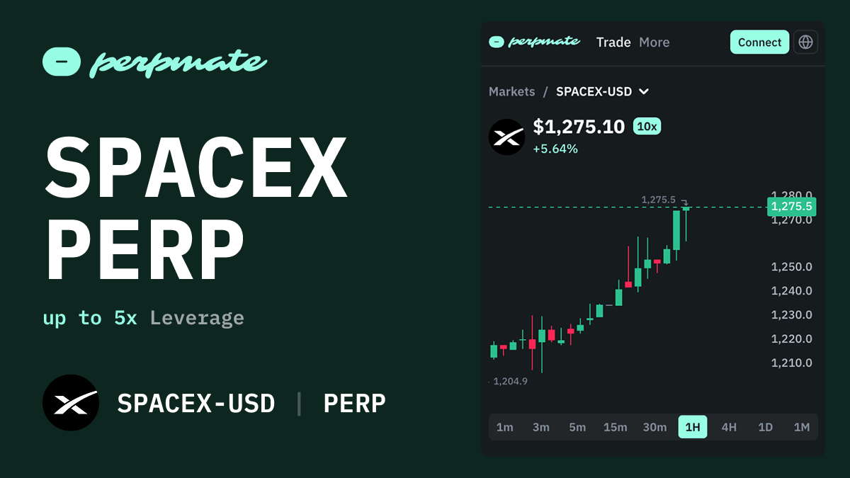 SpaceX Trading Guide