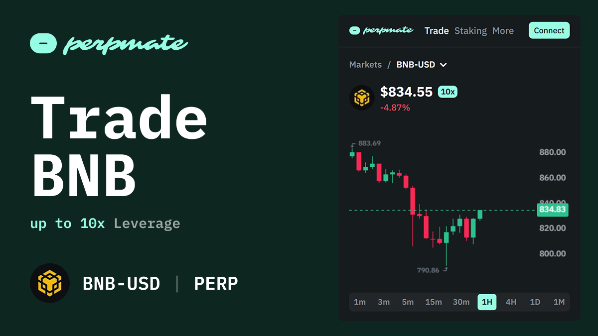 BNB Trading Guide