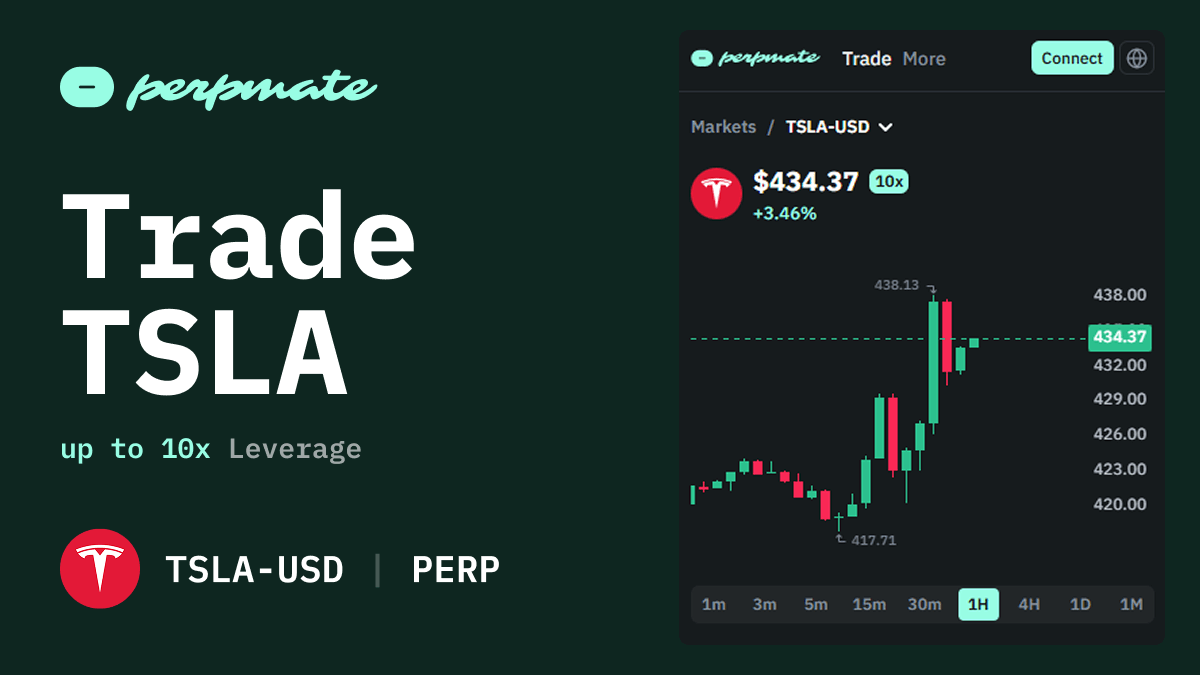 Tesla Trading Guide