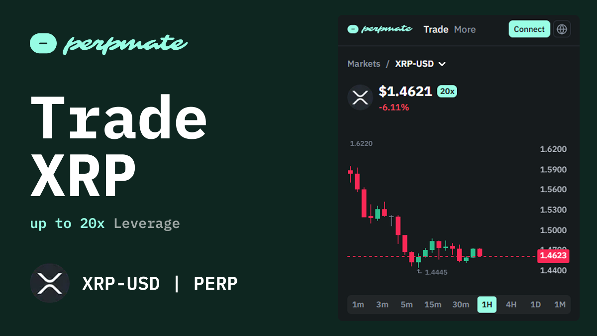 XRP Trading Guide